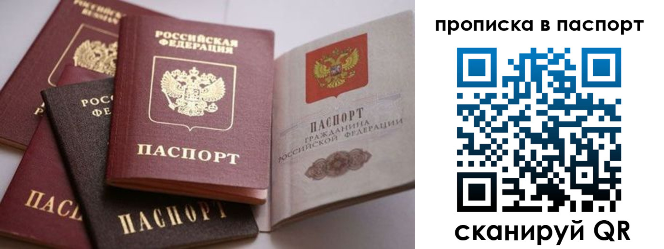 прописка поиск в Барнауле